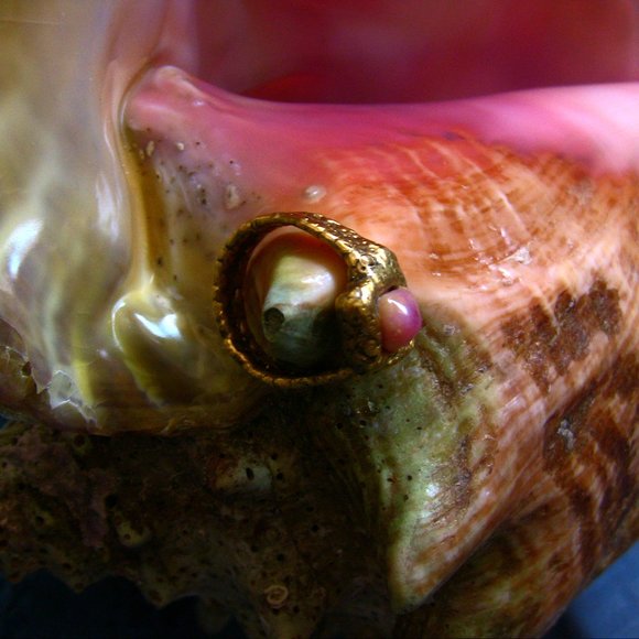 Conch Pearl ring in 24K pure gold - Picture 11 of 12